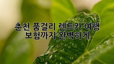 🚗 춘천 품걸리 렌트카 여행, 보험까지 완벽하게! 🏞️