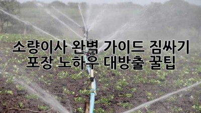 📦 소량이사 완벽 가이드: 짐싸기 & 포장 노하우 대방출! 꿀팁🍯