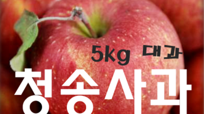 촉촉한 가을, 놓칠 수 없는 사과정과 할인! ✨